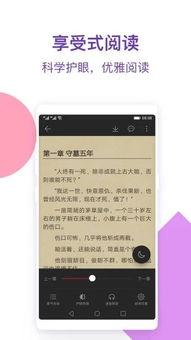 娱乐吃瓜外交小说免费阅读,娱乐界的甜蜜外交风云